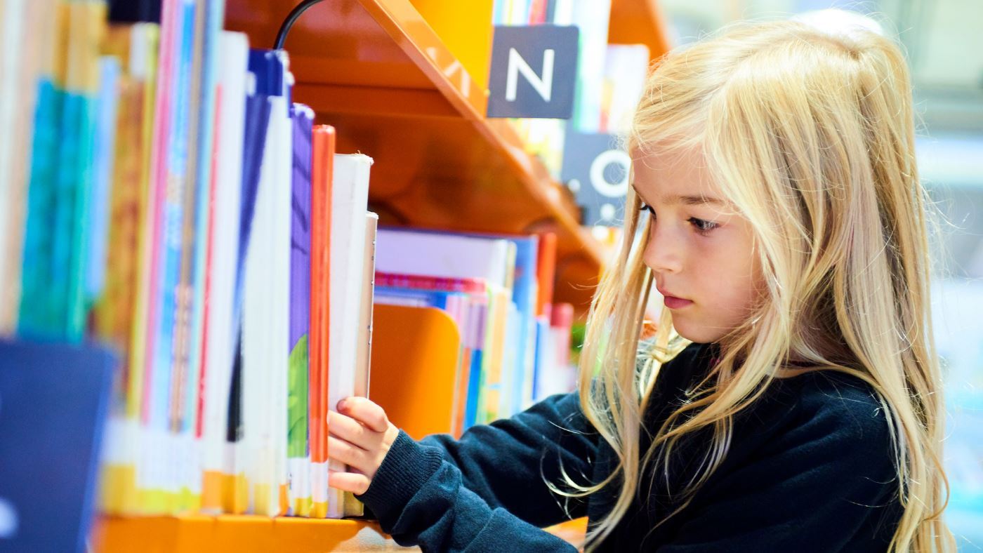 The Future of Libraries. Will They Change?