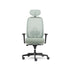 Olive — Allseating Olive in Grove