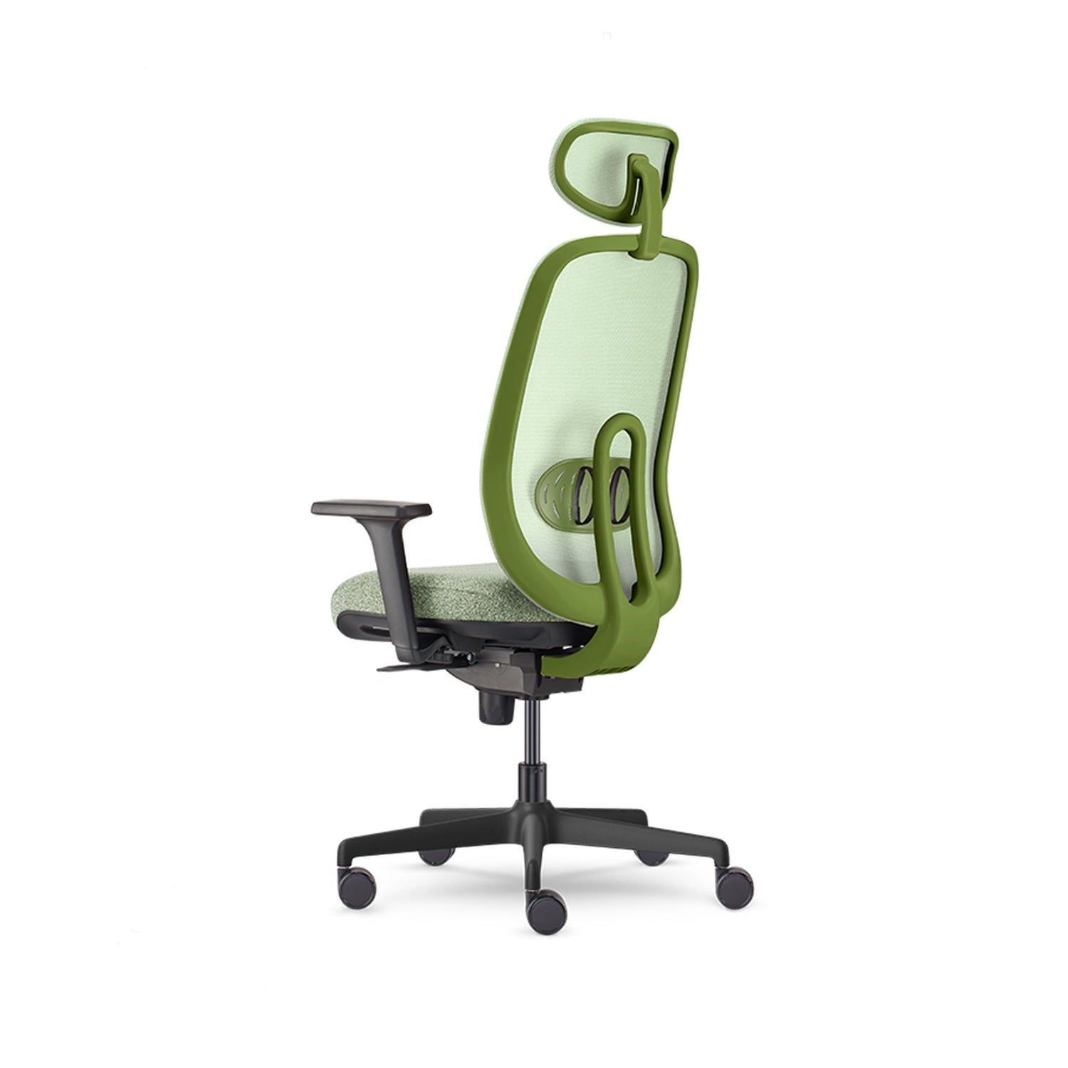 Olive — Allseating Olive in Grove Back 3Q
