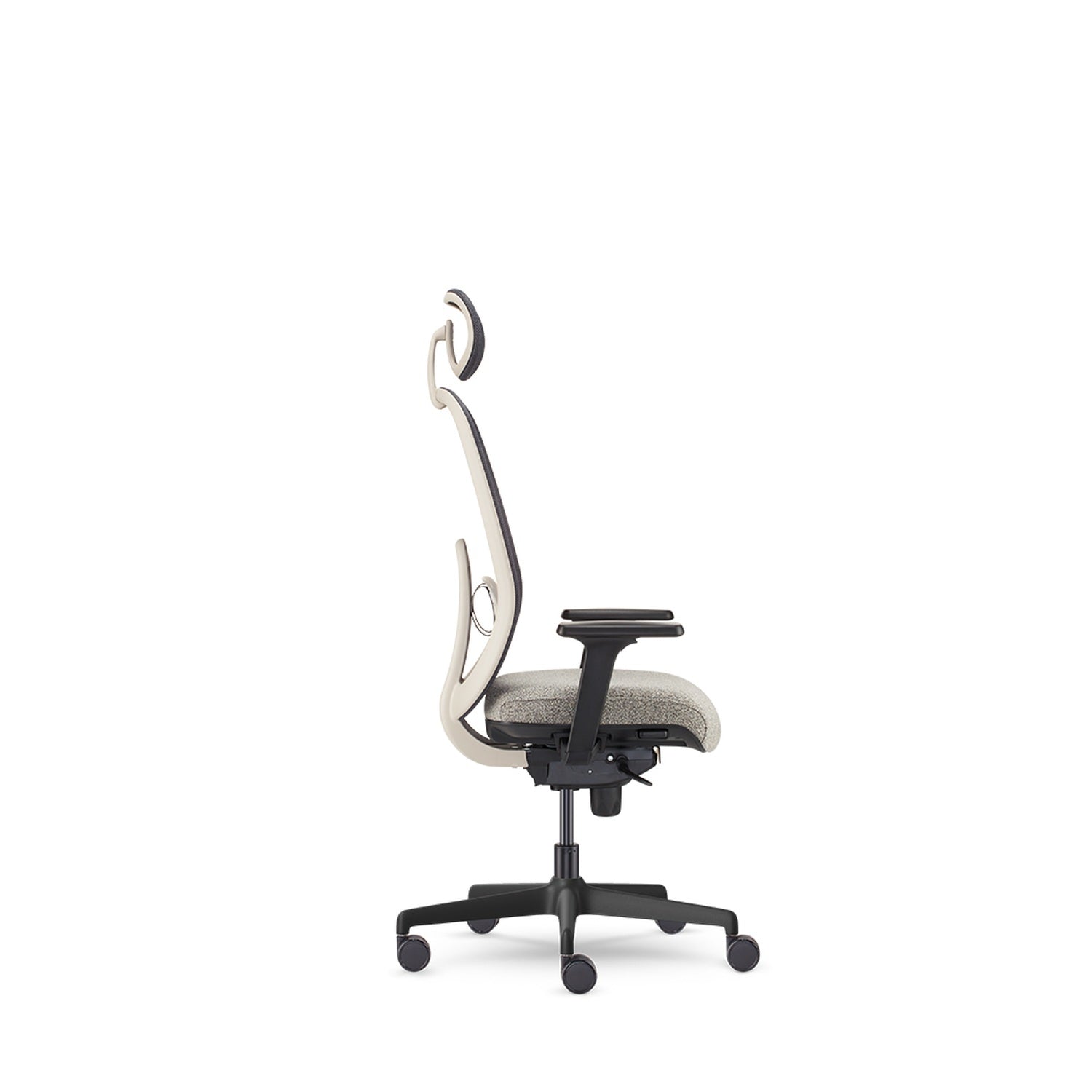 Olive — Allseating Olive in Crema