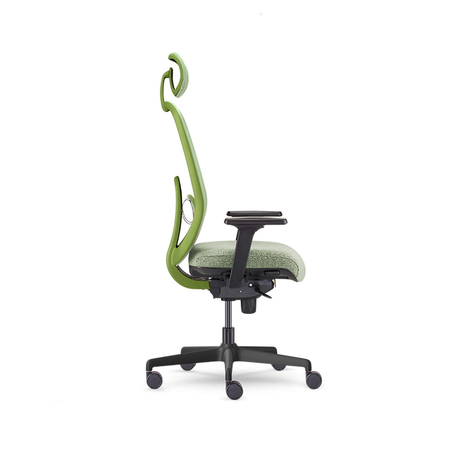 Olive — Allseating Olive in Grove