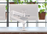 Edge | Single Monitor Arm Single Monitor Arm Fellowes 