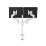 Evolve2-FF | Dual Monitor Arm Dual Monitor Arm Fellowes 