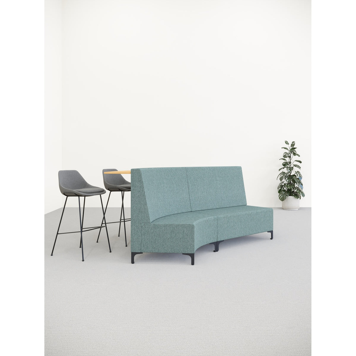 Ivy — manufacturer photograph
