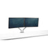 Kata | Dual Monitor Arm Dual Monitor Arm Fellowes 