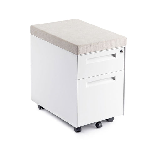 Mobile Storage