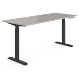 Newland | Sit-Stand Workstation Height Adjustable Table, Workstation OfficesToGo 