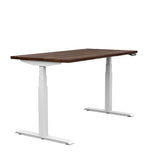 SitOnIt Switchback Height Adjustable Desk | 30d x 54w | Work From Home Edition Home Office SitOnIt Frame Color White Laminate Color Walnut Amati 